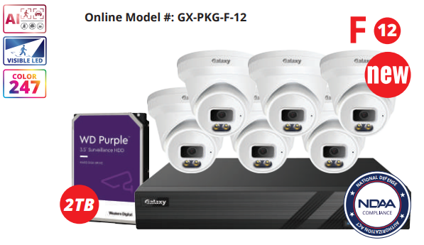 NDAA Galaxy Color-V Full Color 6MP AI IP 8CH Turret Kit