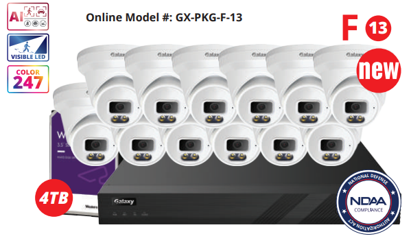 NDAA Galaxy Color-V Full Color 6MP AI IP 16CH Turret Kit