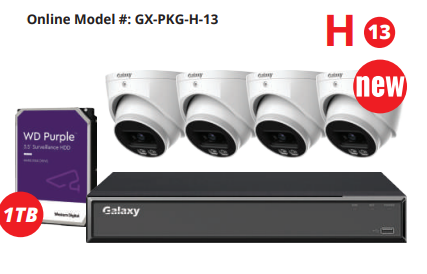 My Store Galaxy Hunter 4CH 4MP Active Deterrence Color247 AI IP security camera kit with multiple cameras and outdoor housing.