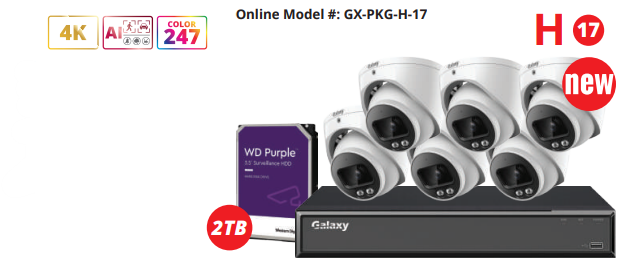Galaxy Hunter 8MP/4K Color247 AI human and vehicle detection 8-channel IP security camera kit with multiple cameras and cables.