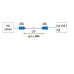  Ethernet over UTP(Cat5e or better) Transceiver Package
