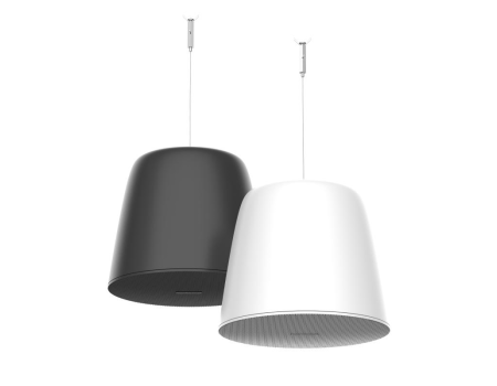 HIKVISION Network Pendent Speaker PoE 30W