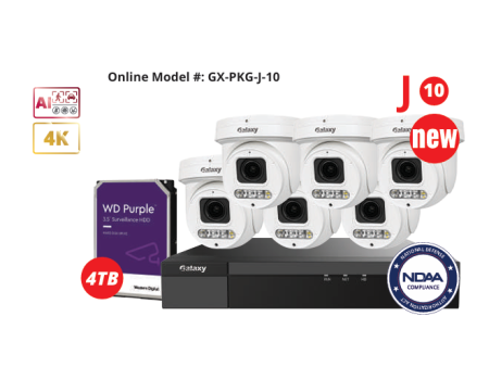 Galaxy Pro 8CH 4K Motorized AI Professional IP Kit