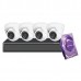 4CH Galaxy Hunter Series 5MP IP Eyeball Kit