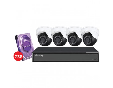 4CH Hunter Series 5MP IP Eyeball Camera Kit