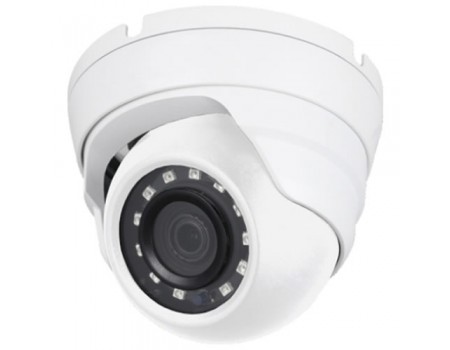 5MP IR Mini Eyeball Network Camera with 2.8mm lens